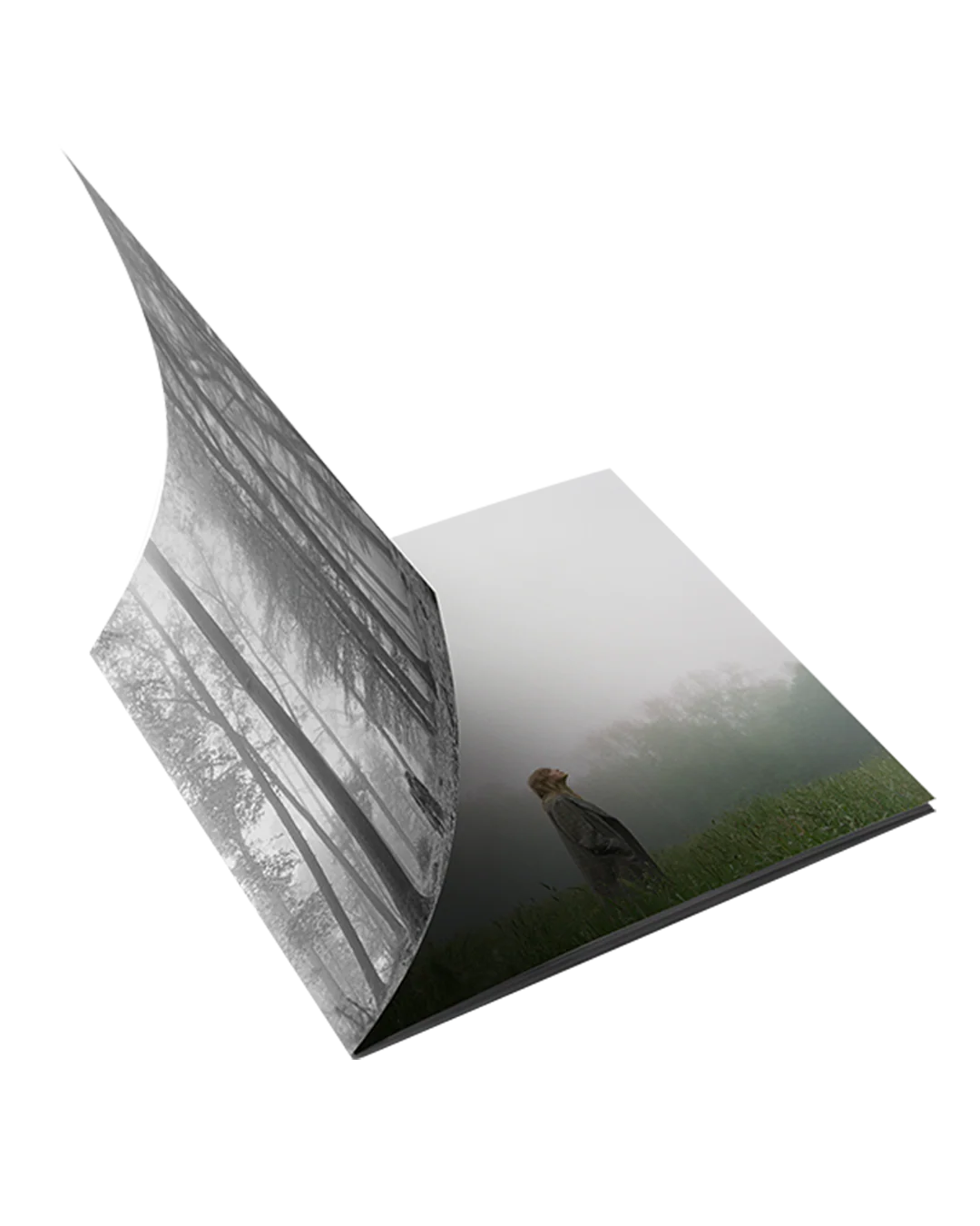 1. the "in the trees" Edition Deluxe CD (Clean) - Image 3